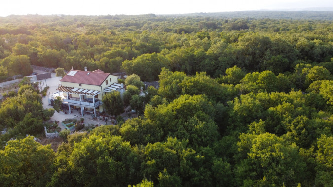 Exterior, Villa Jozi with a pool in the forest, Gabonjin, Krk island, Croatia Gabonjin